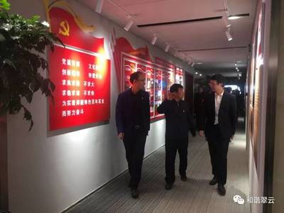 区第三季度重点项目督导观摩团走进正大CPL项目 共绘区域发展新图景